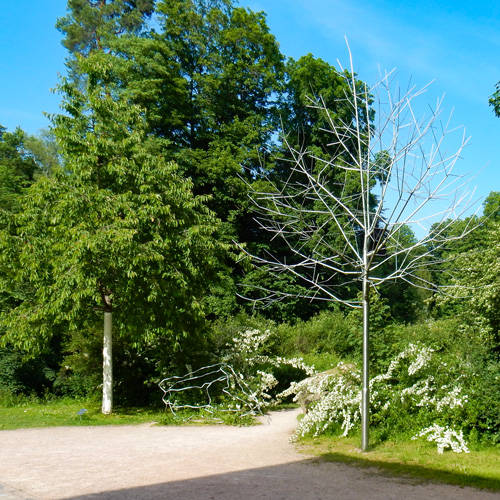 BaumPortrait und SteinPortrait - Jinmo Kang - dh3vs131