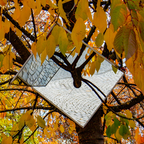 AstPortrait - Jinmo Kang - dh3vs135