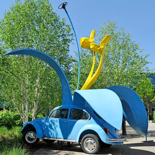 Flower Power - Stefan Rohrer - dh3vs144