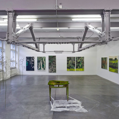 Forum Vebikus - Sandra Fehr Rüegg - hk1sh242