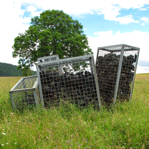 Container - Roger Aupperle - nk1tut133