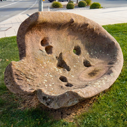 Larve für Spaichingen - Willi Bucher - nk1tut316