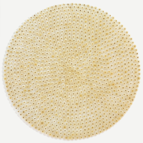 Löwenzahnkreis von Angela M. Flaig in der Kreiskunstsammlung und Galerie im Landratsamt - nk2rw171