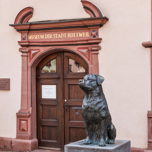 Der Rottweiler - Ottmar Hörl - nk2rw182